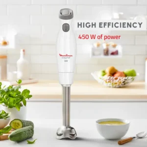 Moulinex Bras Mixeur Easychef - DD451110 - 450 W